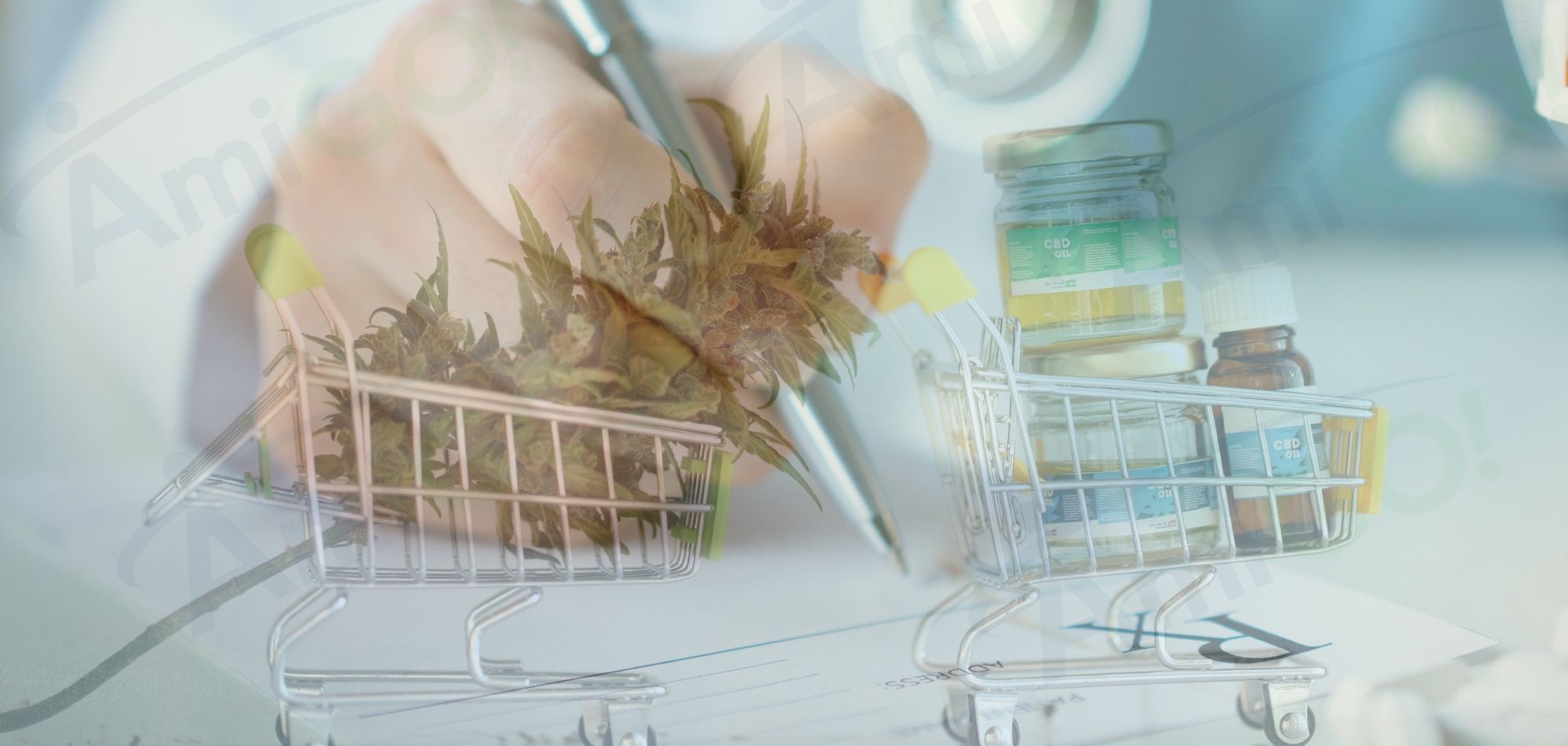 Frascos de óleo medicinal e planta de cannabis em ambiente clínico.